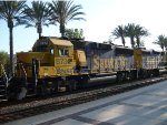 Yellowbonnet Geep in Fullerton